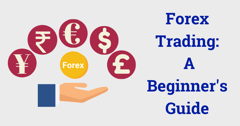 Forex Trading A Beginners Guide The Sage Millennial