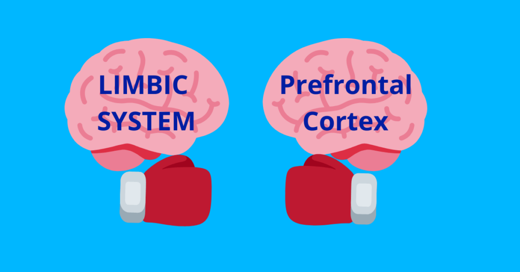Limbic System Vs Prefrontal Cortex Procrastination